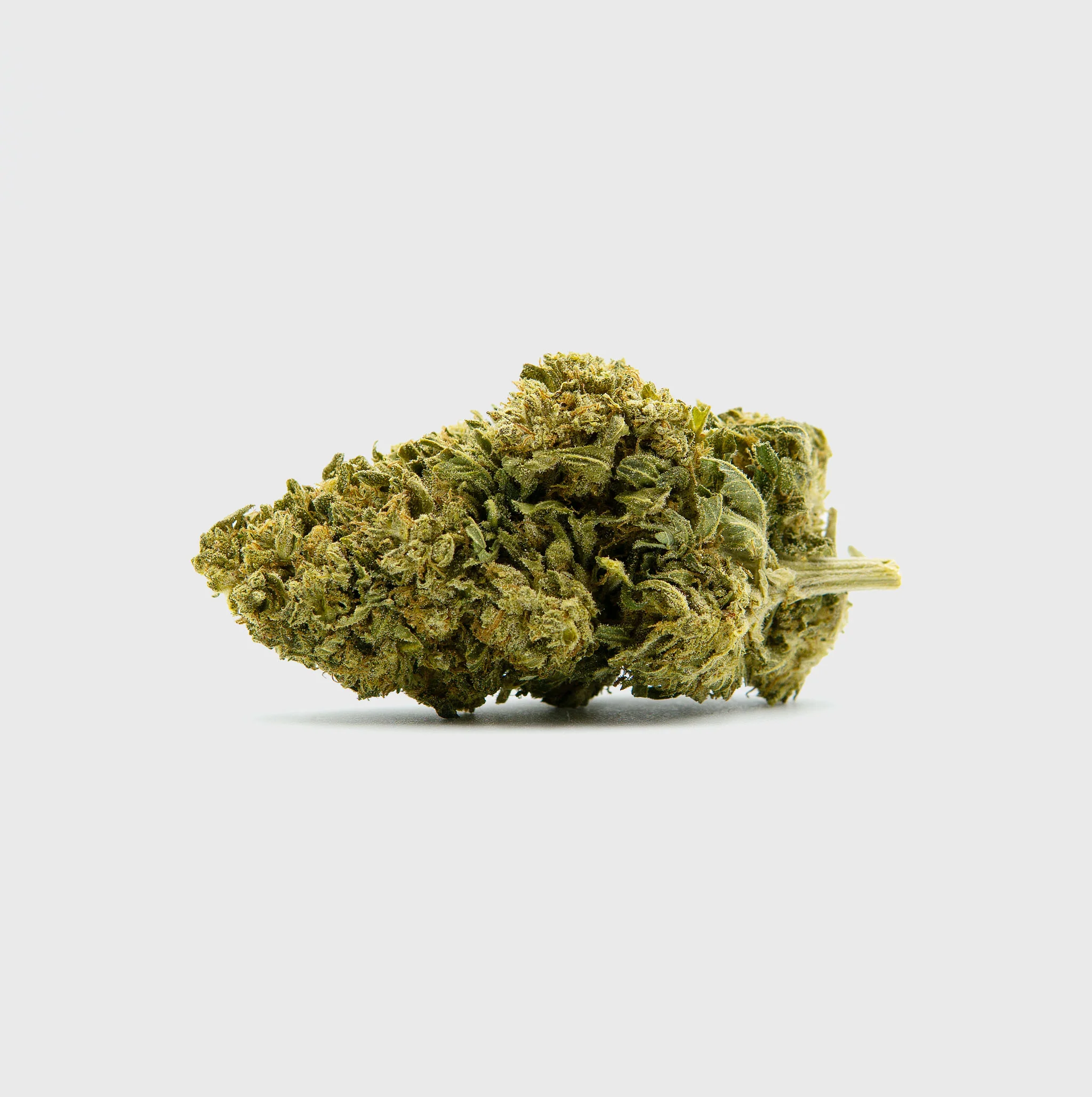 Black Diesel Superior ⛽️ - Image 2