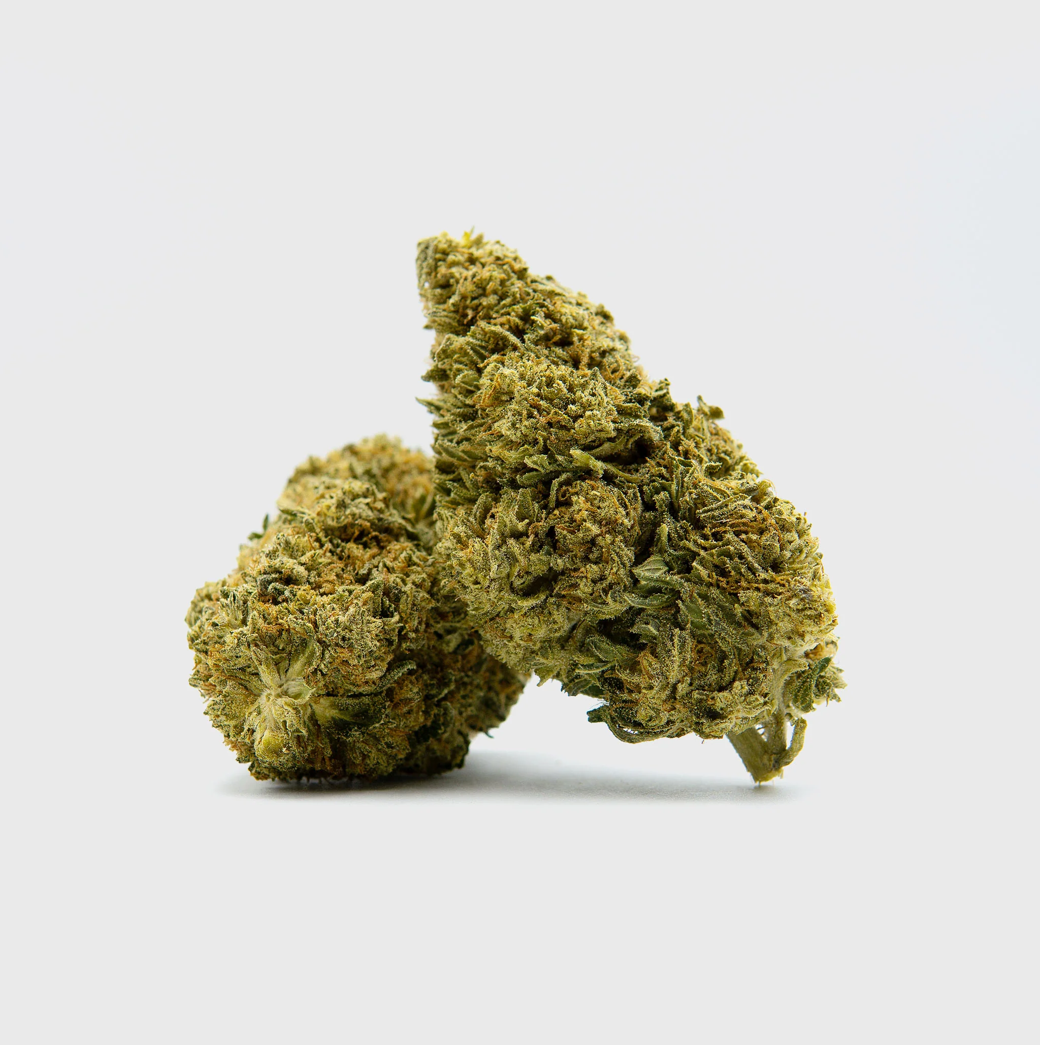Black Diesel Superior ⛽️ - Image 3