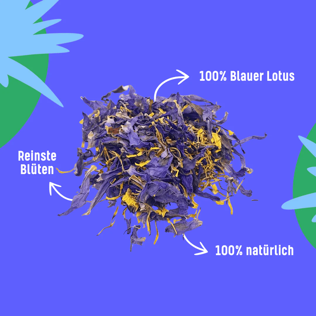Blauer Lotus Blume 🪷 - Image 3