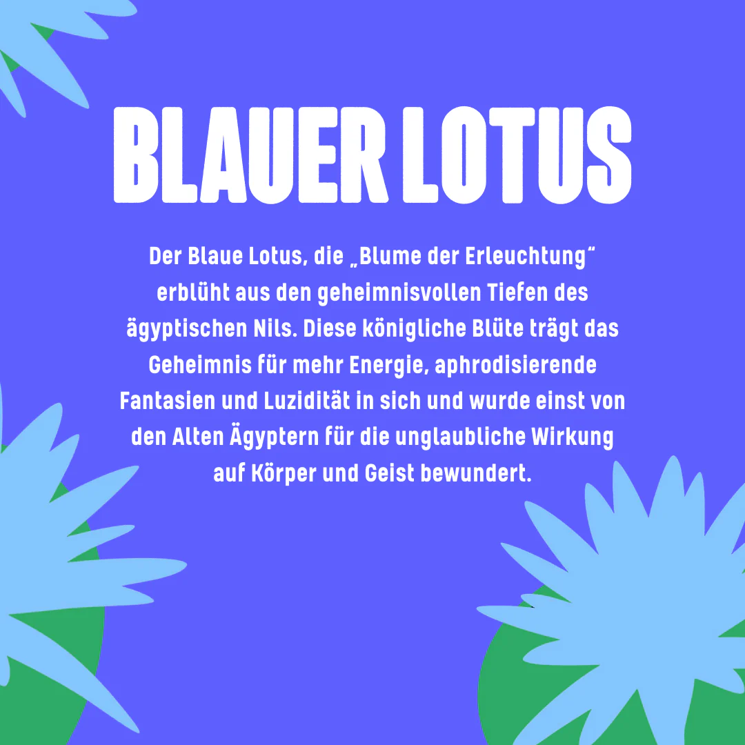 Blauer Lotus Hasch 🍫🪷 - Image 3