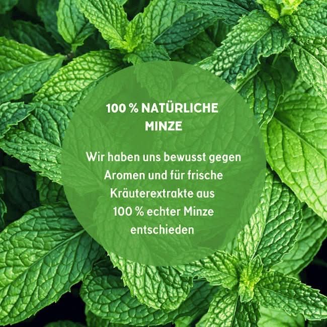Green Chill Zone CBG-Minz Öl 10% 10ml - Image 3