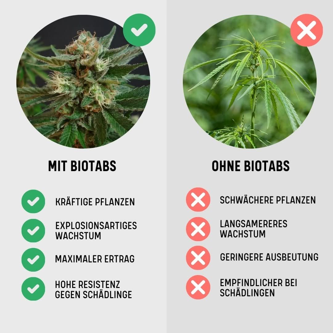 BioTabs Perfect Plant Pack - Image 2