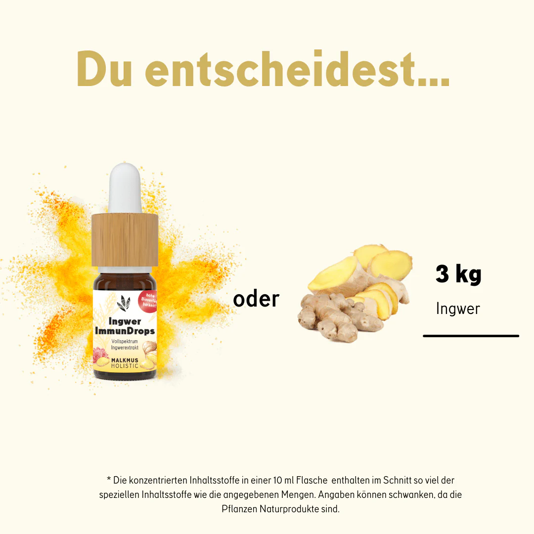 Ingwer ImmunDrops: Die hochkonzentrierte Kraft der Ingwerwurzel - Image 3