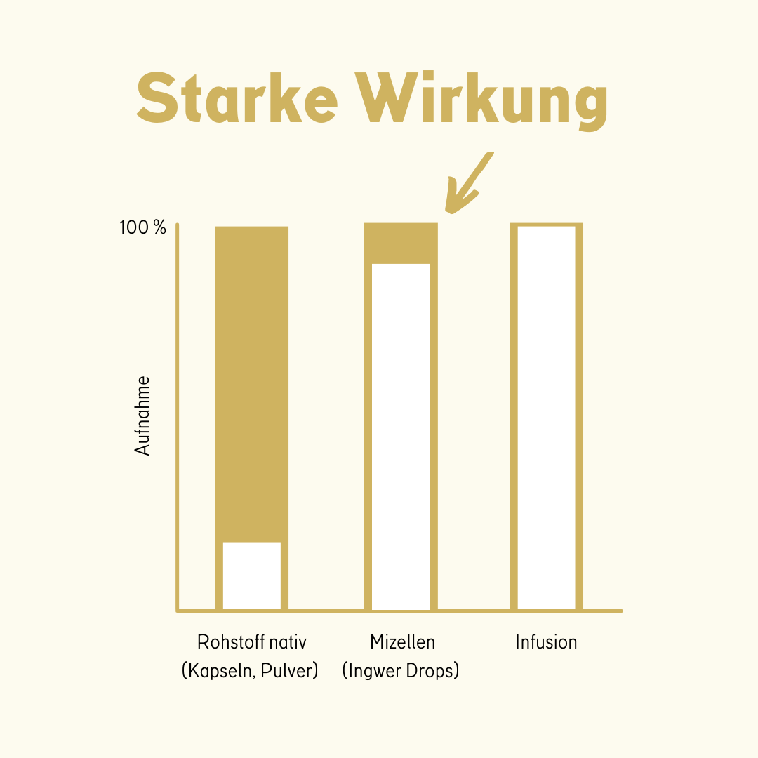 Ingwer ImmunDrops: Die hochkonzentrierte Kraft der Ingwerwurzel - Image 4