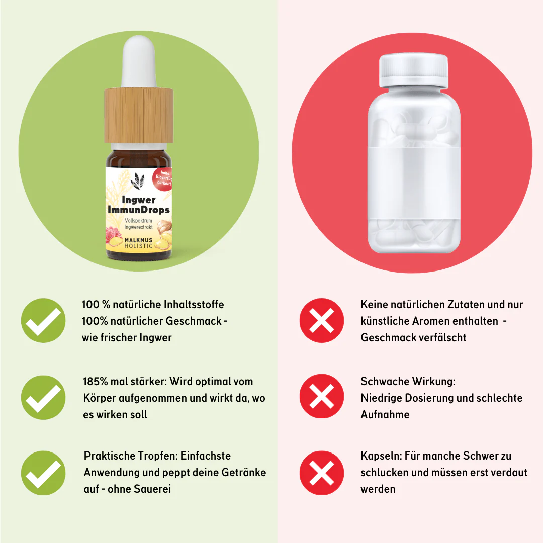 Ingwer ImmunDrops: Die hochkonzentrierte Kraft der Ingwerwurzel - Image 5
