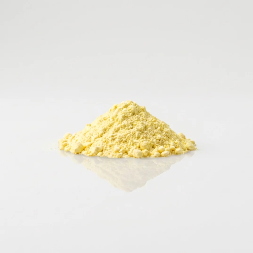 Kava - Image 2