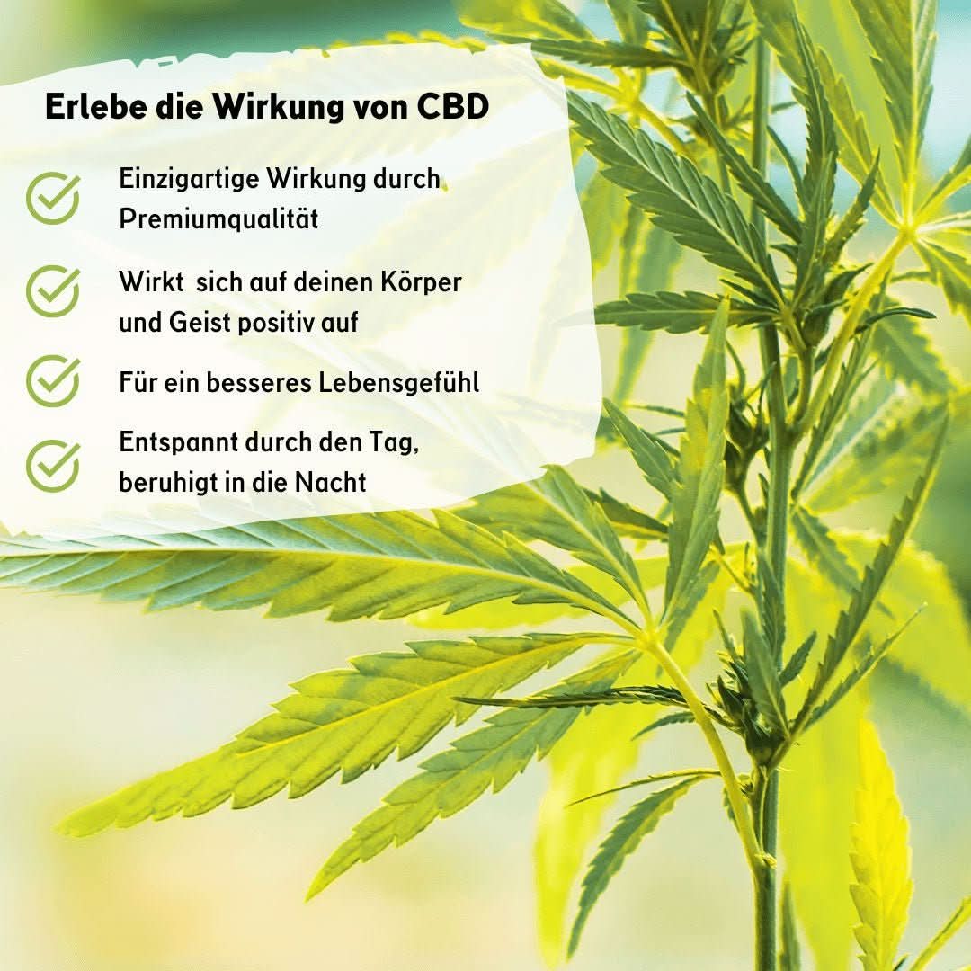 🏆 CBD Naturextrakt PREMIUM Öl 20% - Image 3
