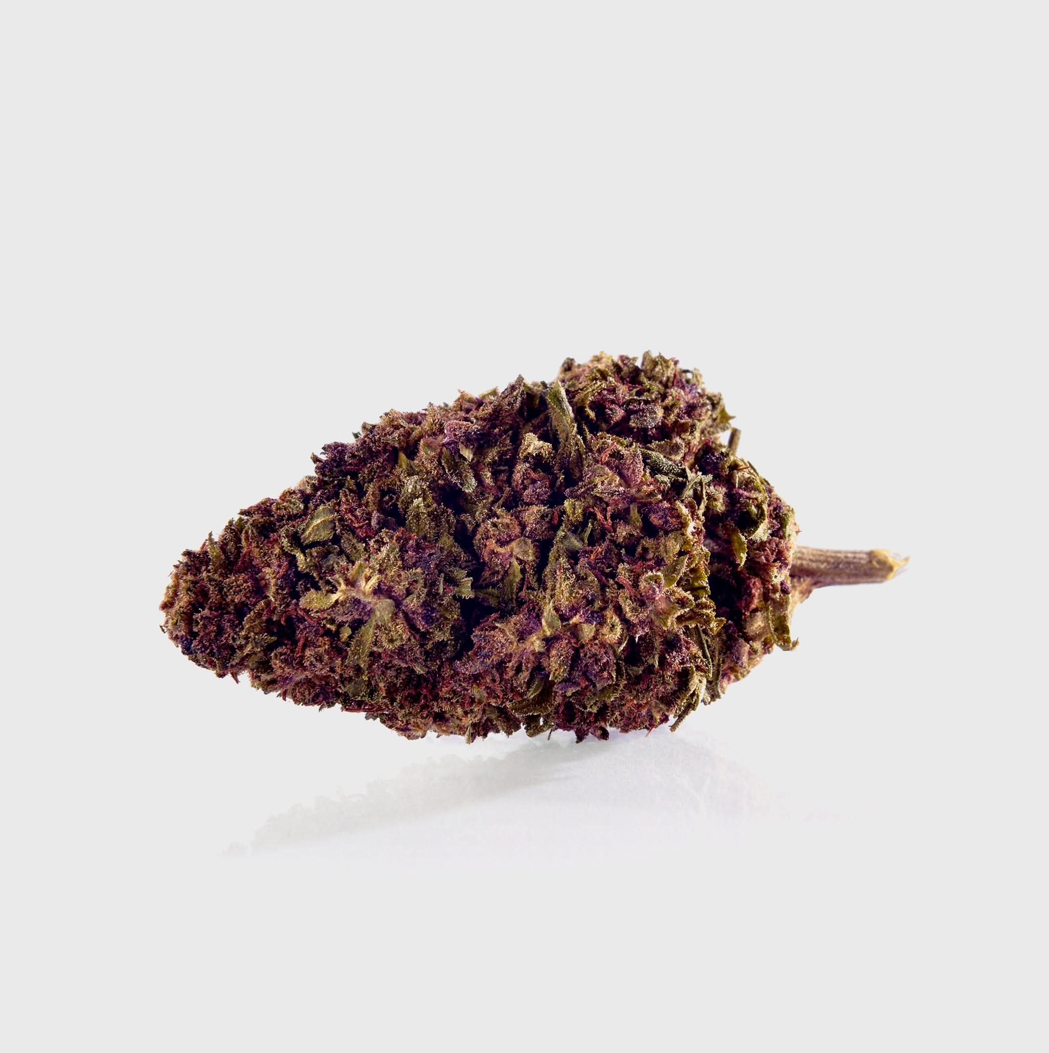 Sexy Groovy Purple 💜