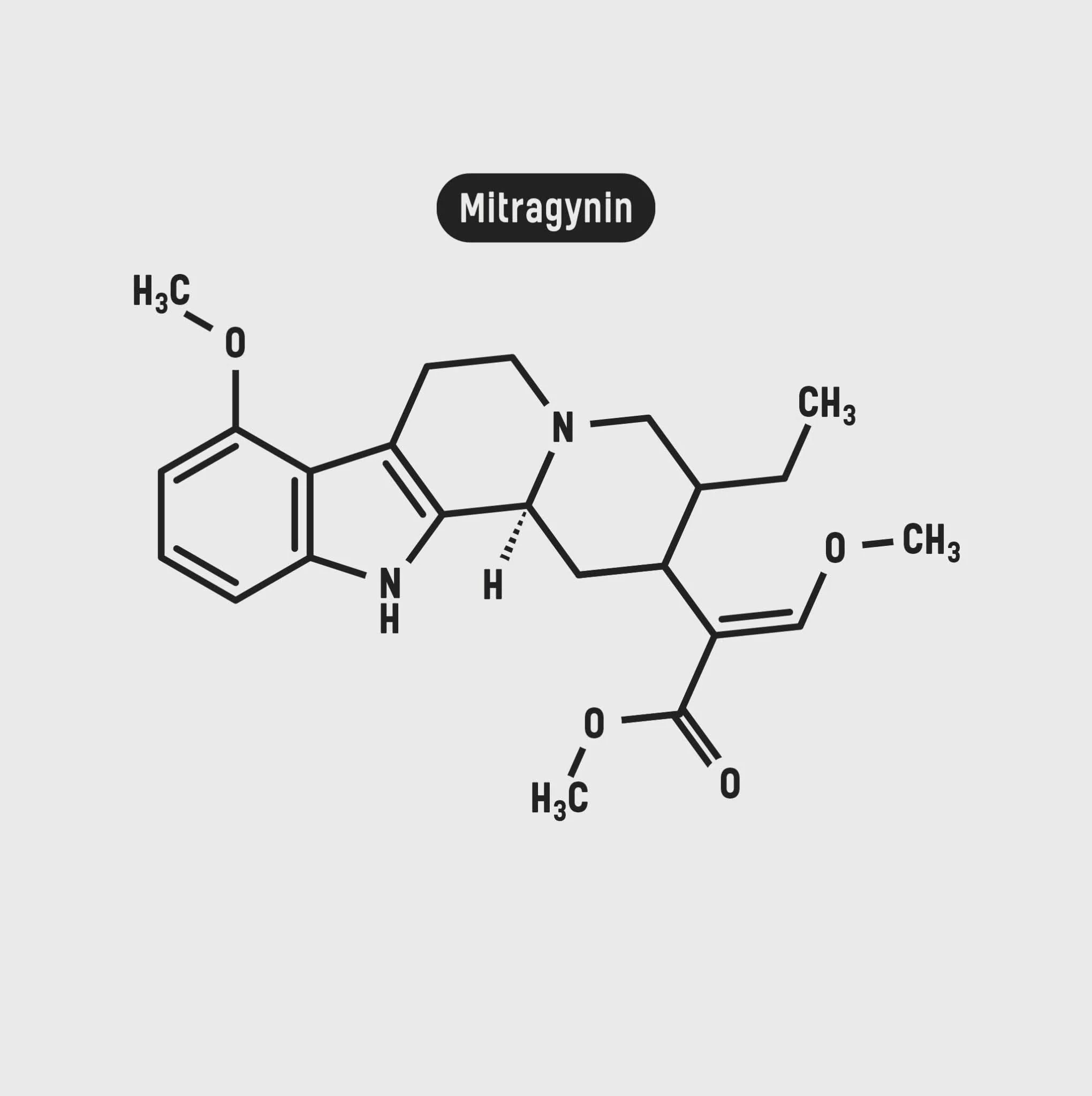Thai Kratom - Image 5