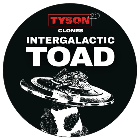 Tyson 2.0 Steckling - Intergalactic Toad - Image 3